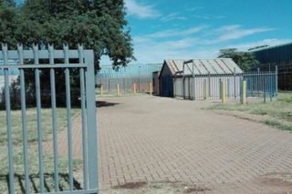 Vision Properties