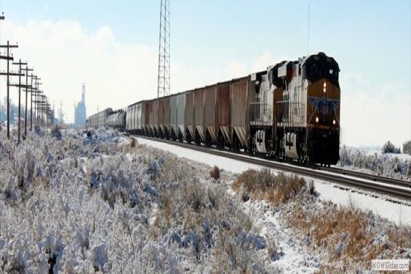 Logan Freight Logistics Cc