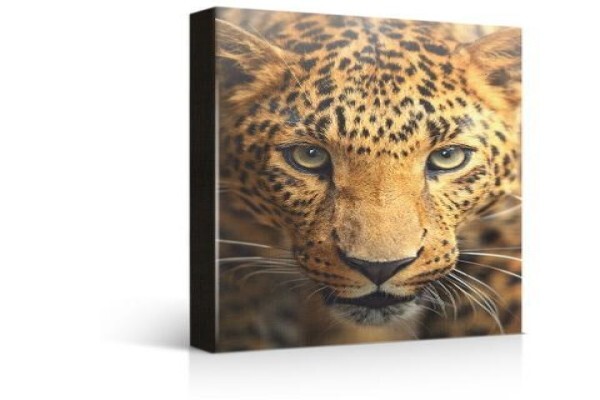 Picture Framing Warehouse CC