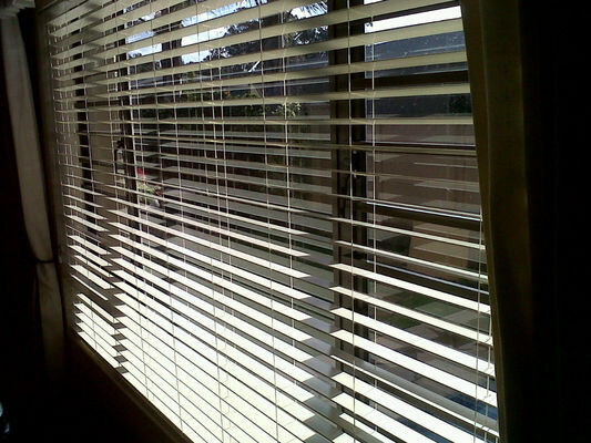 Maxi Blinds & Doors