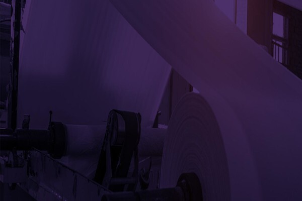 Epping Industrial Suppliers (Pty) Ltd