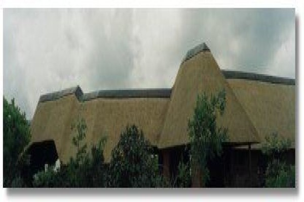 Con-Thatch (Pty) Ltd