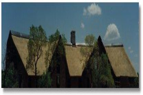 Con-Thatch (Pty) Ltd