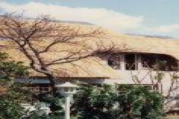 Con-Thatch (Pty) Ltd
