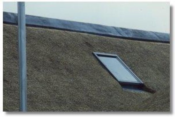Con-Thatch (Pty) Ltd