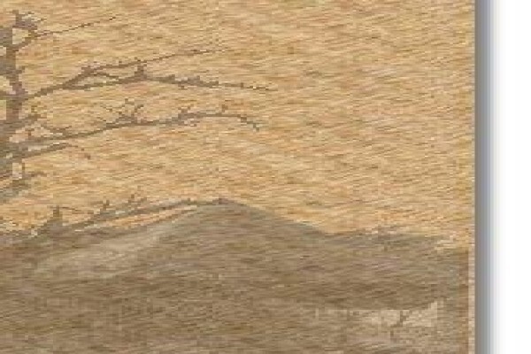 Con-Thatch (Pty) Ltd