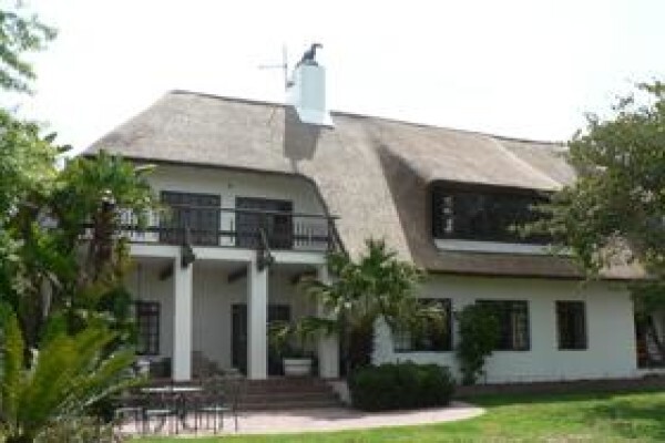 Highveld Cape Thatchers