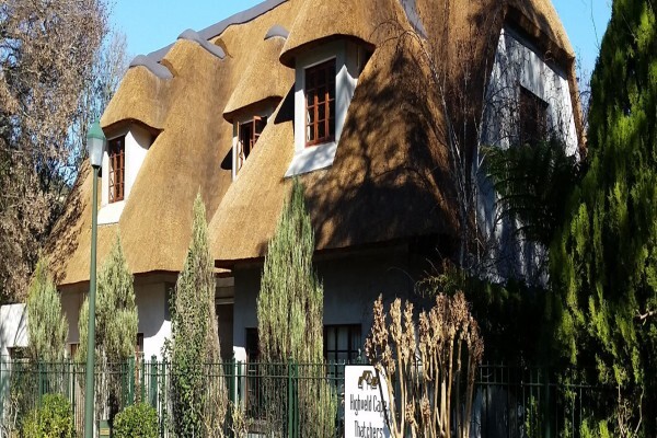 Highveld Cape Thatchers