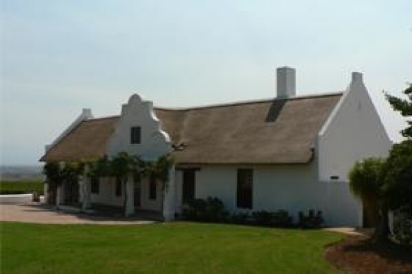 Highveld Cape Thatchers