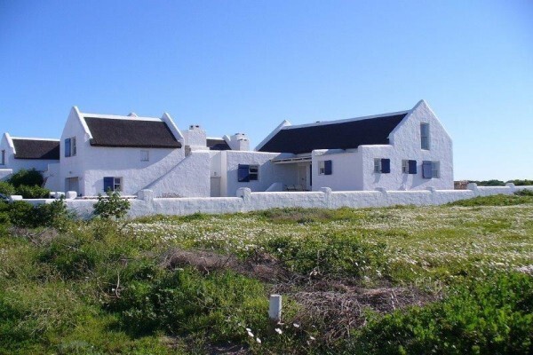 Traditional Thatch