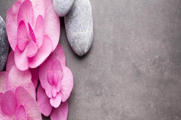 Cocoa Rose Beauty Therapy