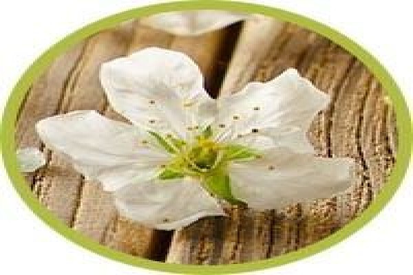 La Belle Vie Health & Beauty