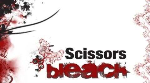 Bleach