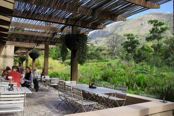 Moyo Spier (Stellenbosch)