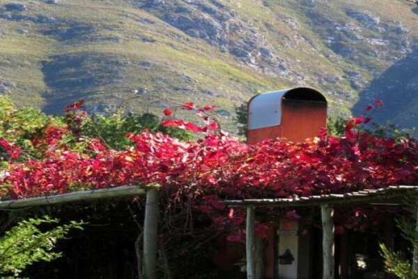 Mogg's Country Cookhouse