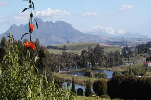 SylvanVale Vineyards
