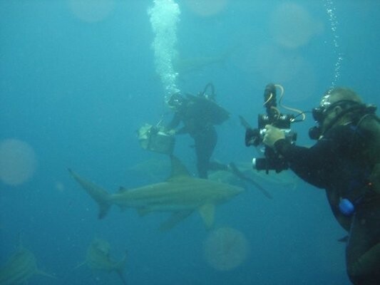 Diving in Africa