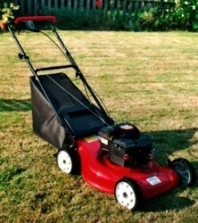 Lawnmower Hospital