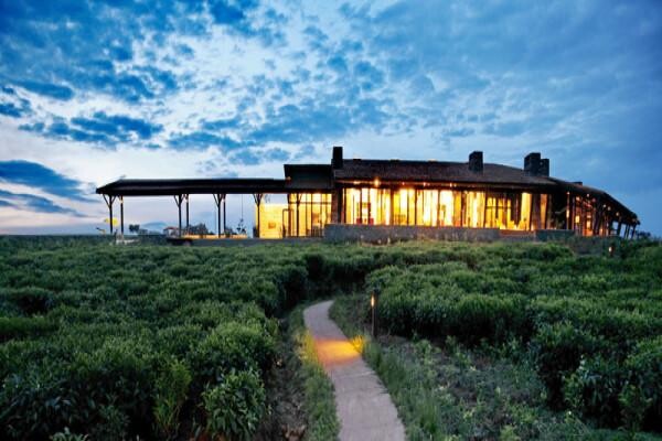 T & B Log Homes