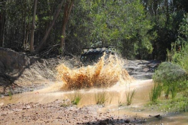 Landy World