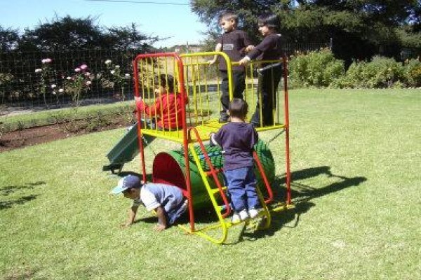 Jungle Gym World