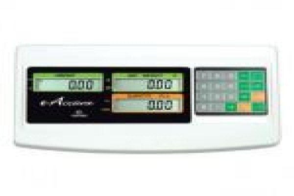 Weighing Instrument Services (Pty) Ltd