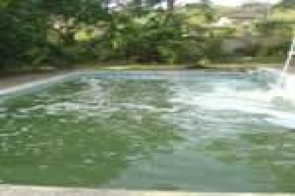 Swimline Pool Cleaning & Repairs