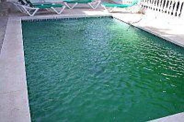 Swimline Pool Cleaning & Repairs