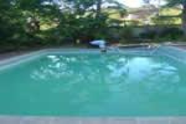Swimline Pool Cleaning & Repairs