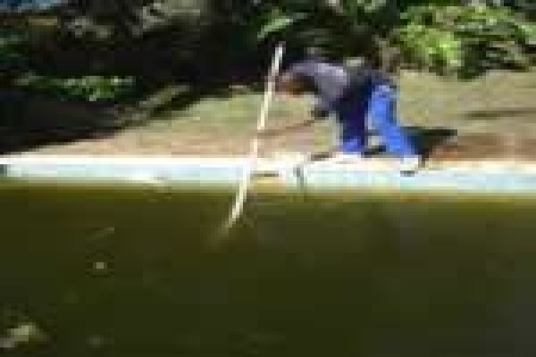 Swimline Pool Cleaning & Repairs