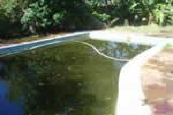 Swimline Pool Cleaning & Repairs