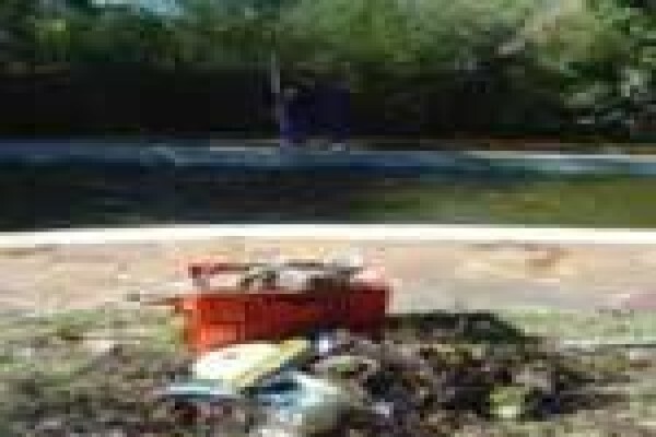Swimline Pool Cleaning & Repairs