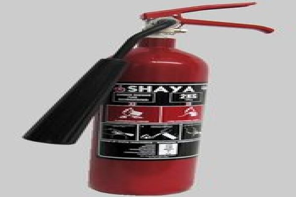 Shaya Forgings