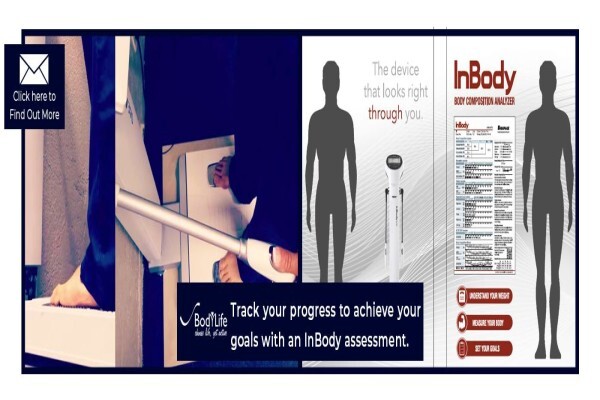 Body Life Activity Zone