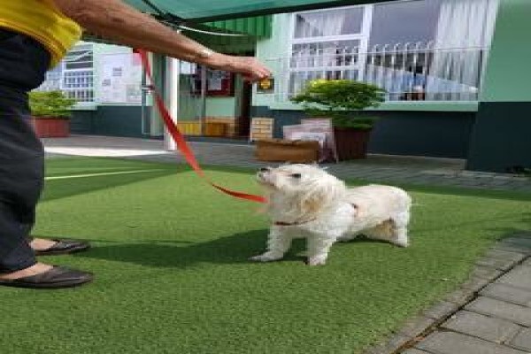 Playtime Academy For Little Leaners