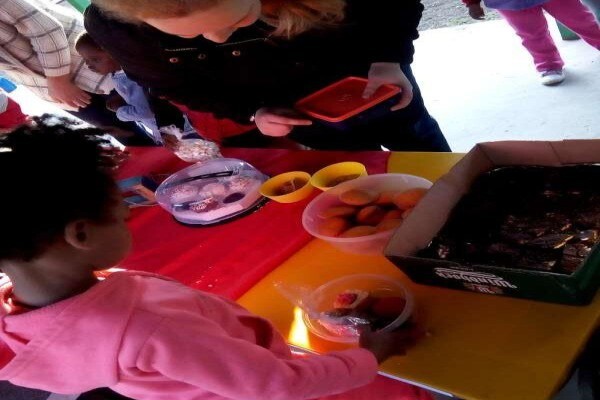 Turtle Den Nursery School (Koeberg St)