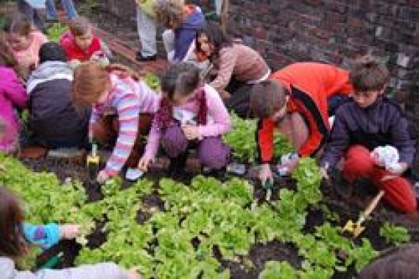Michael Oak Waldorf School