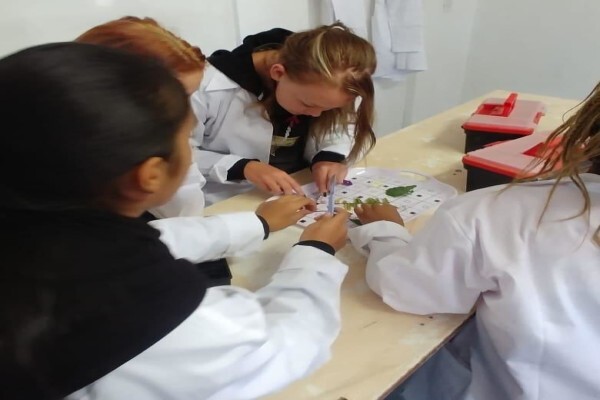 Brandcliff House Private School