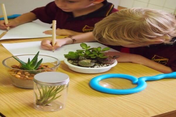 Pridwin Preparatory School