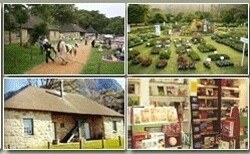 Botanical Society Of South Africa