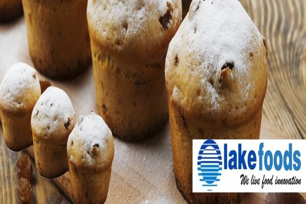 Lake International Technologies (Pty) Ltd