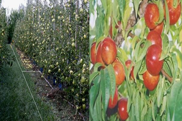 Philagro SA (Pty) Ltd