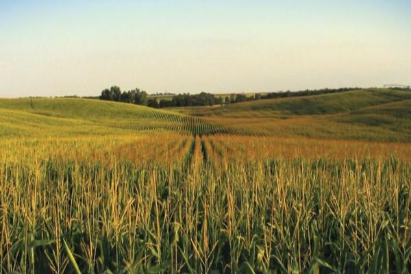 Philagro SA (Pty) Ltd