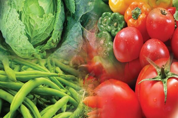 Philagro SA (Pty) Ltd