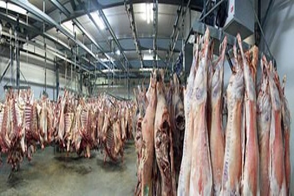 Airport Meats (PTY) LTD