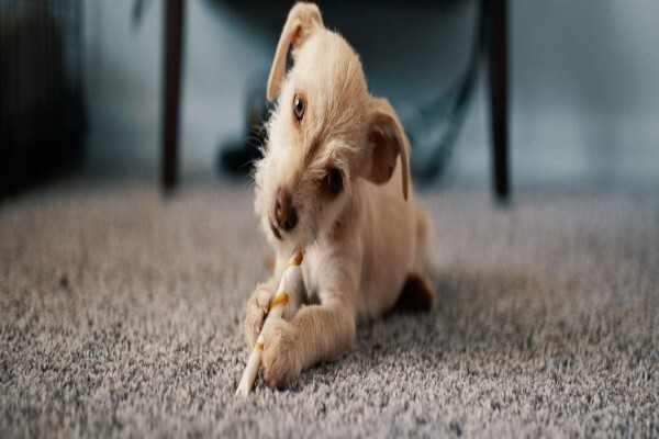 Carpet-Co