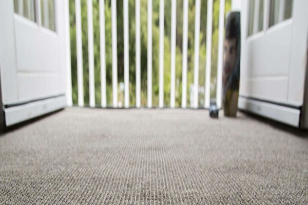 Carpet-Co