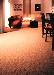 Carpets For All
