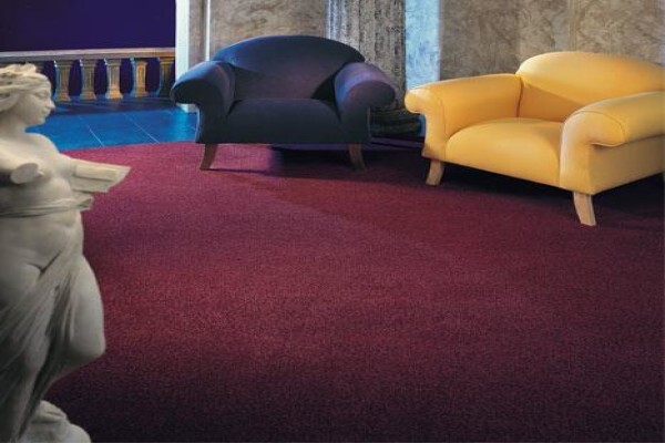 Floors Up Carpeting