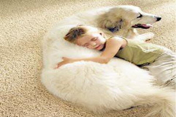 Wonder Flooring